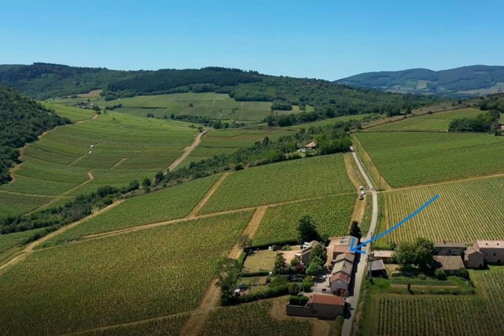 Le Tinailler Grand Standing Au Coeur Des Vignes Vila Prissé Exterior foto