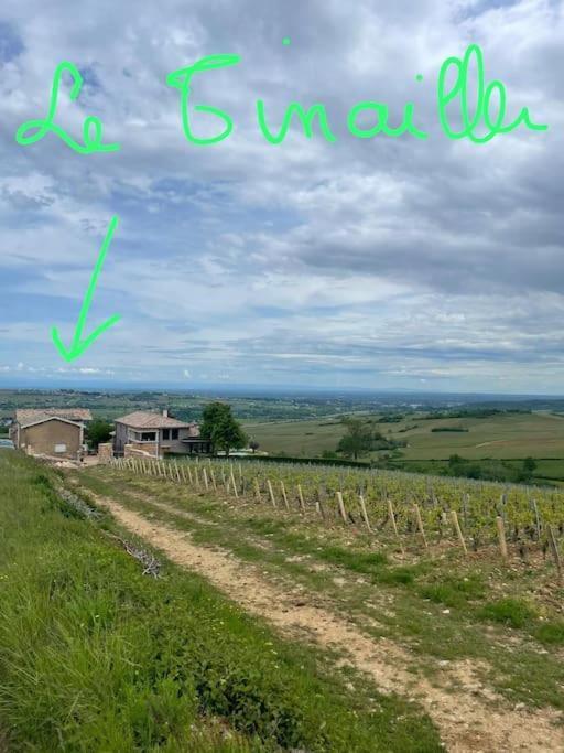 Le Tinailler Grand Standing Au Coeur Des Vignes Vila Prissé Exterior foto