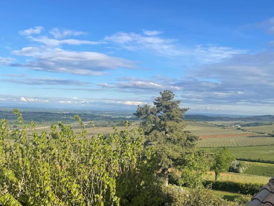 Le Tinailler Grand Standing Au Coeur Des Vignes Vila Prissé Exterior foto